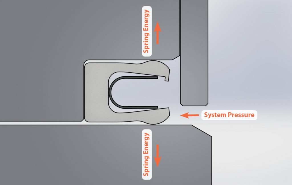 Spring Energized Seals